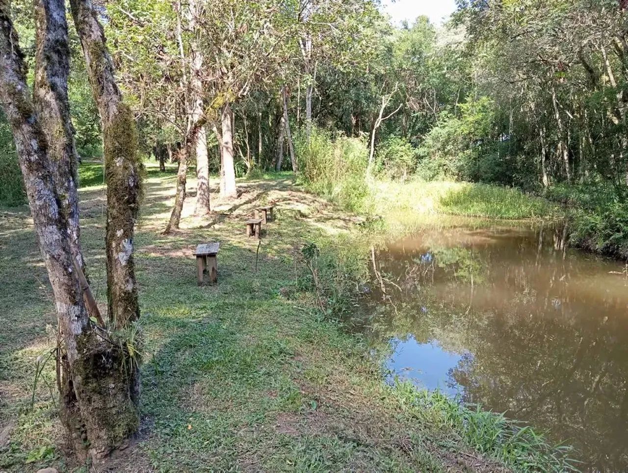 Oportunidade  - Foto 2