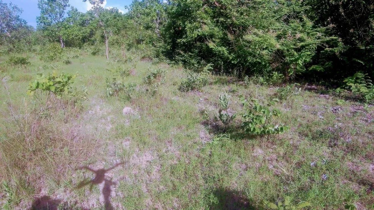 FAZENDA A VENDA SUDESTE DO TOCANTINS  - Foto 2
