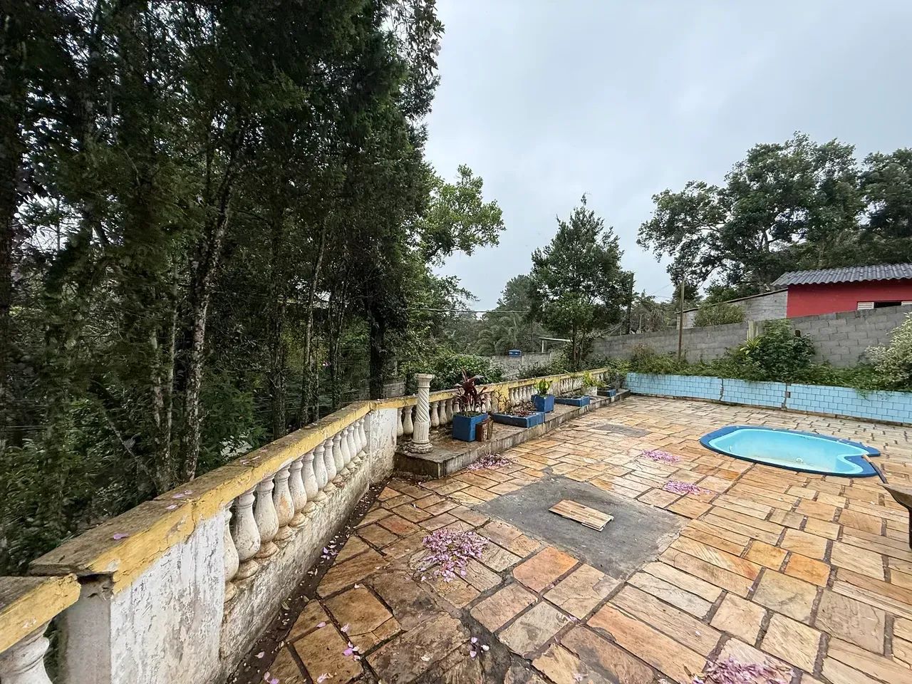 chácara a venda no cipó - Foto 4