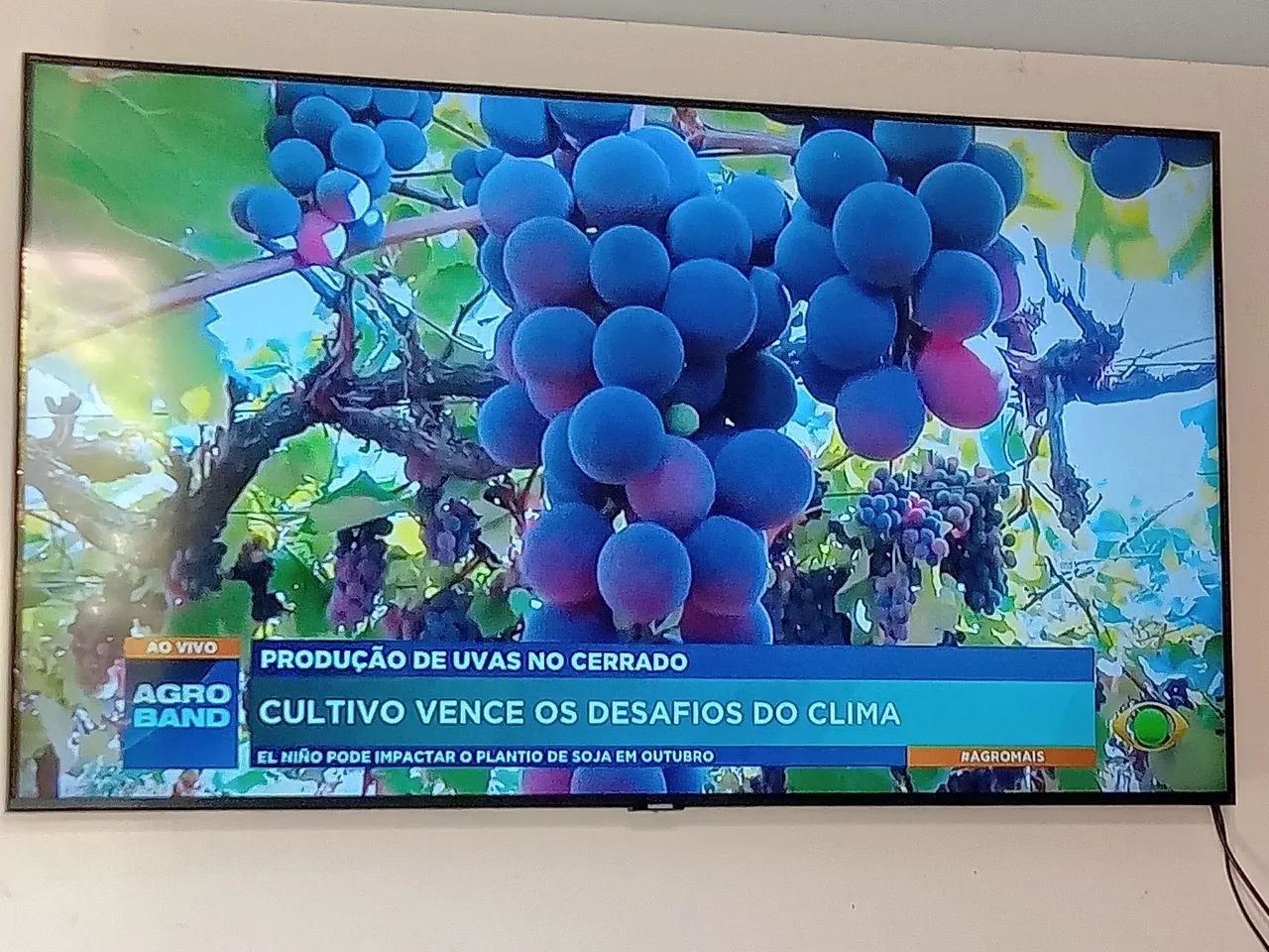 Tv 50 Samsung Smart  - Foto 3