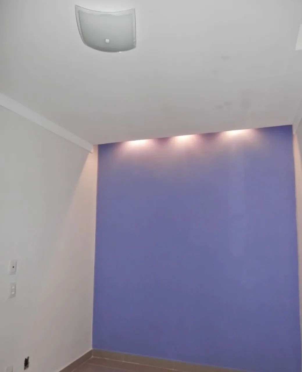 Pintor profissional 