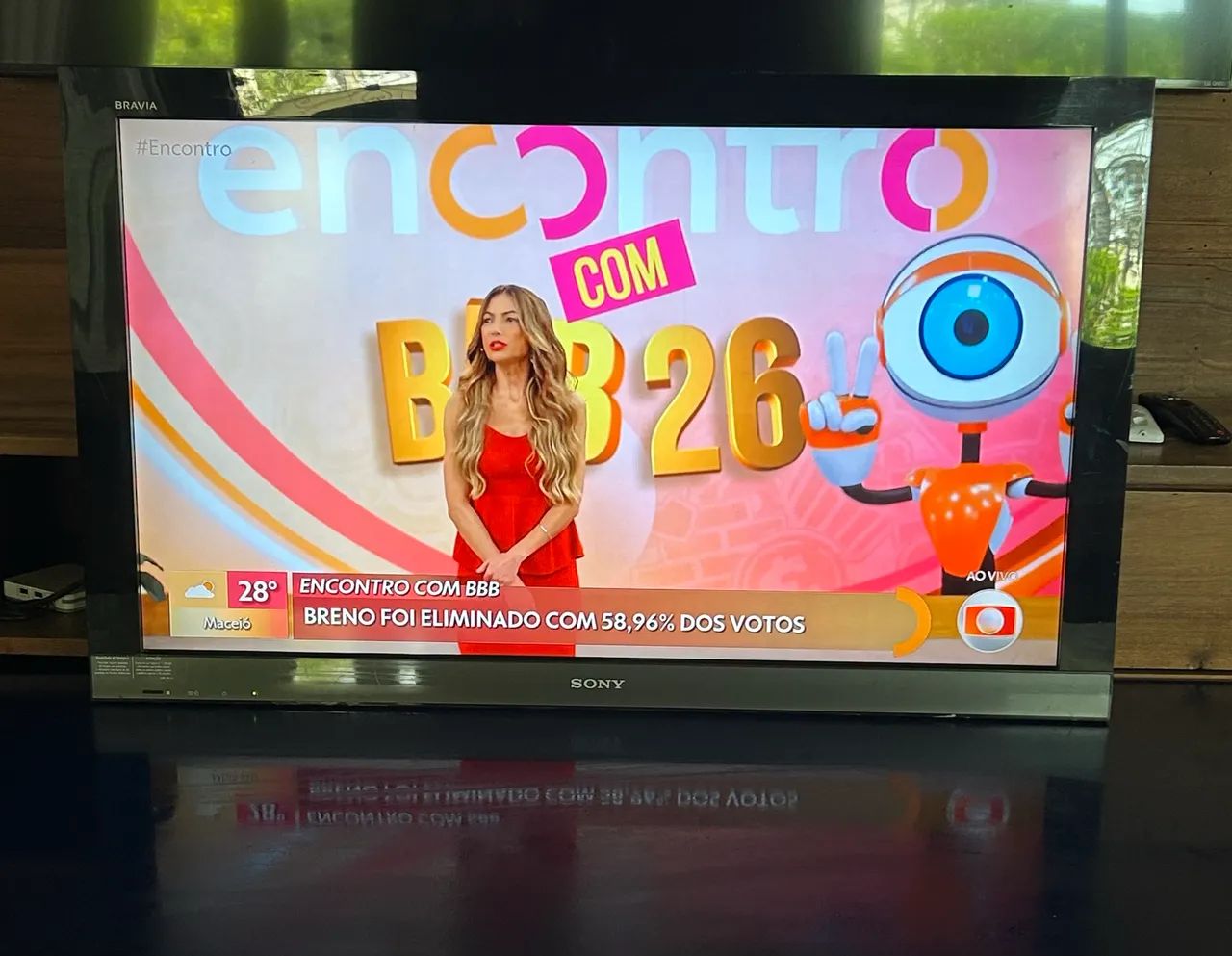 TELEVISÃO