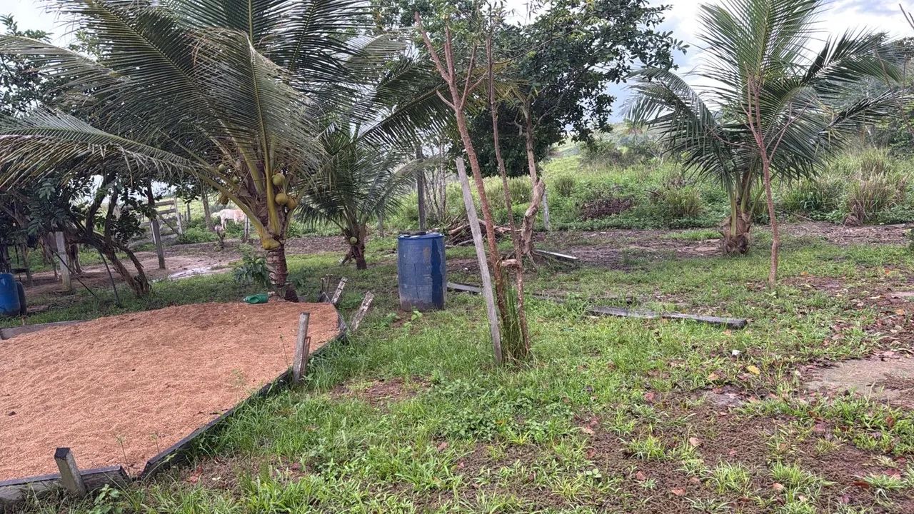 ? PROPRIEDADE RURAL À VENDA - Foto 3