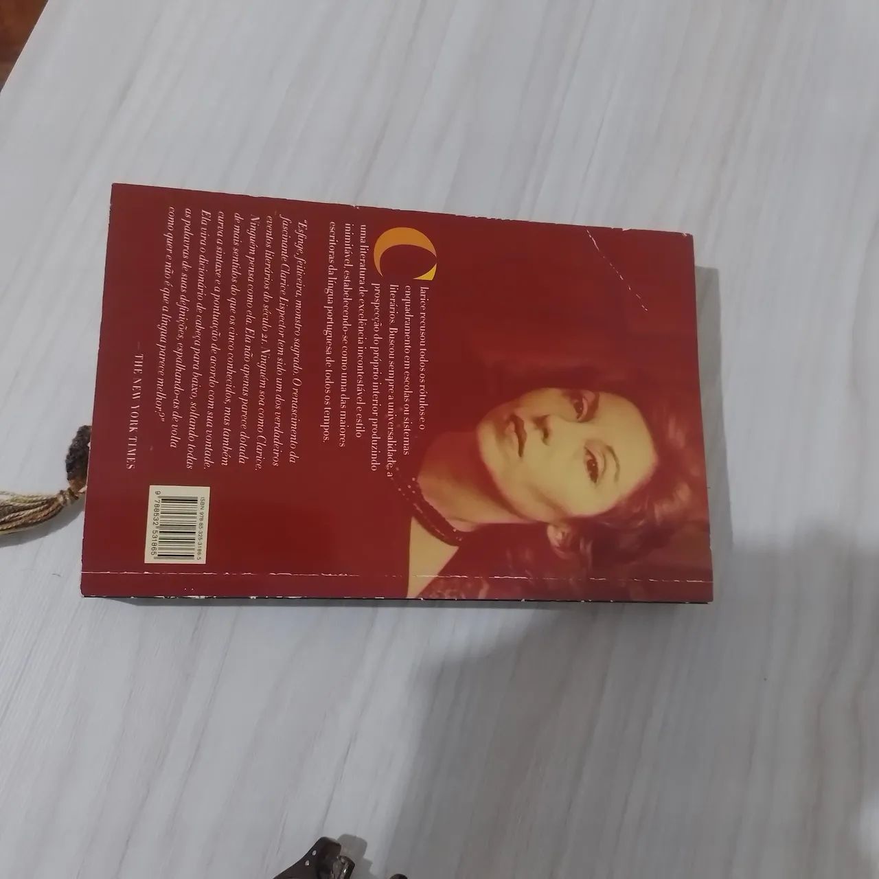 A maçã no escuro - Clarice Lispector - Foto 2