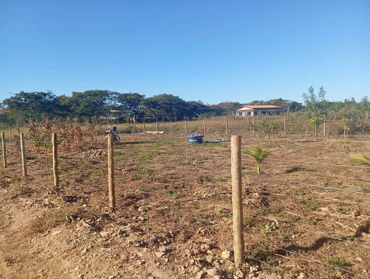 Granja