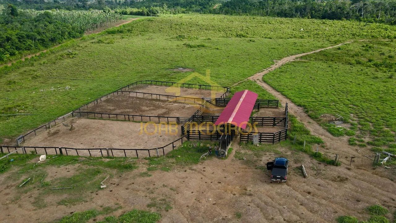 FAZENDA À VENDA - IRACEMA | CAMPOS NOVOS - RR / VENDA