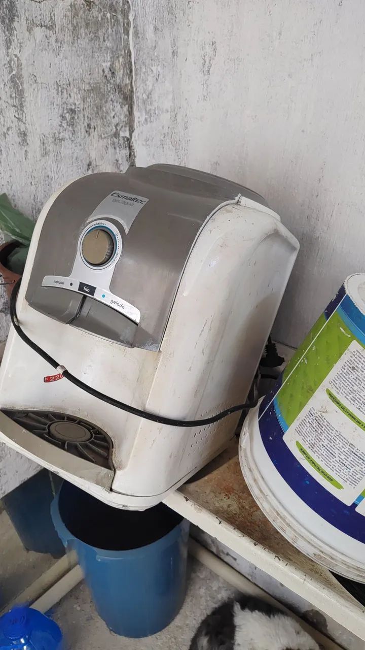 Gelagua 