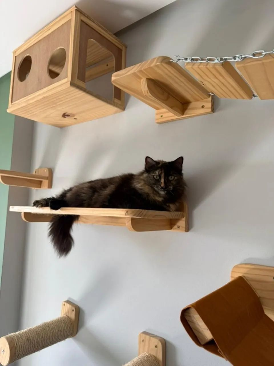 Playground para GATOS de MADEIRA. Arranhadores, Redes, casinha e ponte. CATBOSS - Foto 5