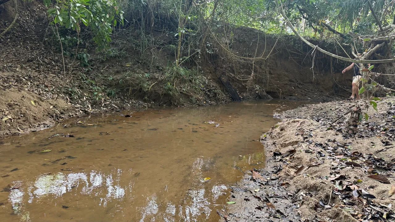 Chacara de 1.800mt em professor Jamil com córrego! - Foto 5