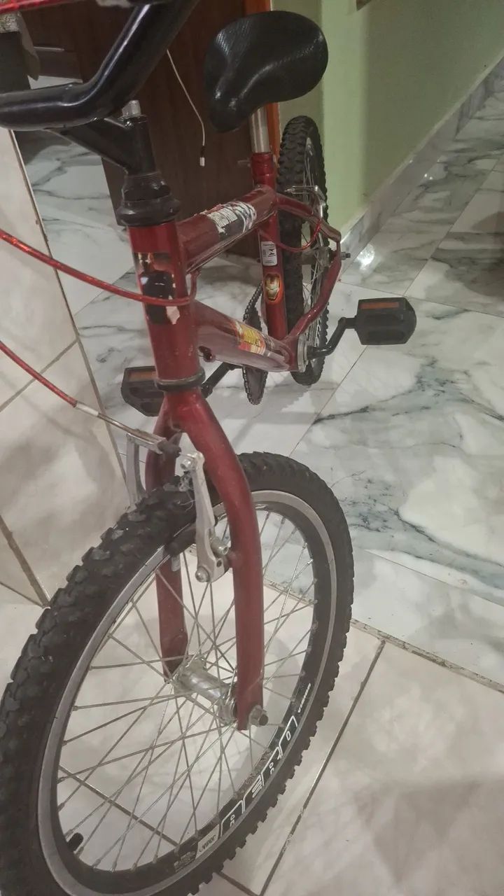 Bicicleta 