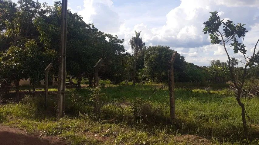 Chácara 20.000 M2 - Foto 3
