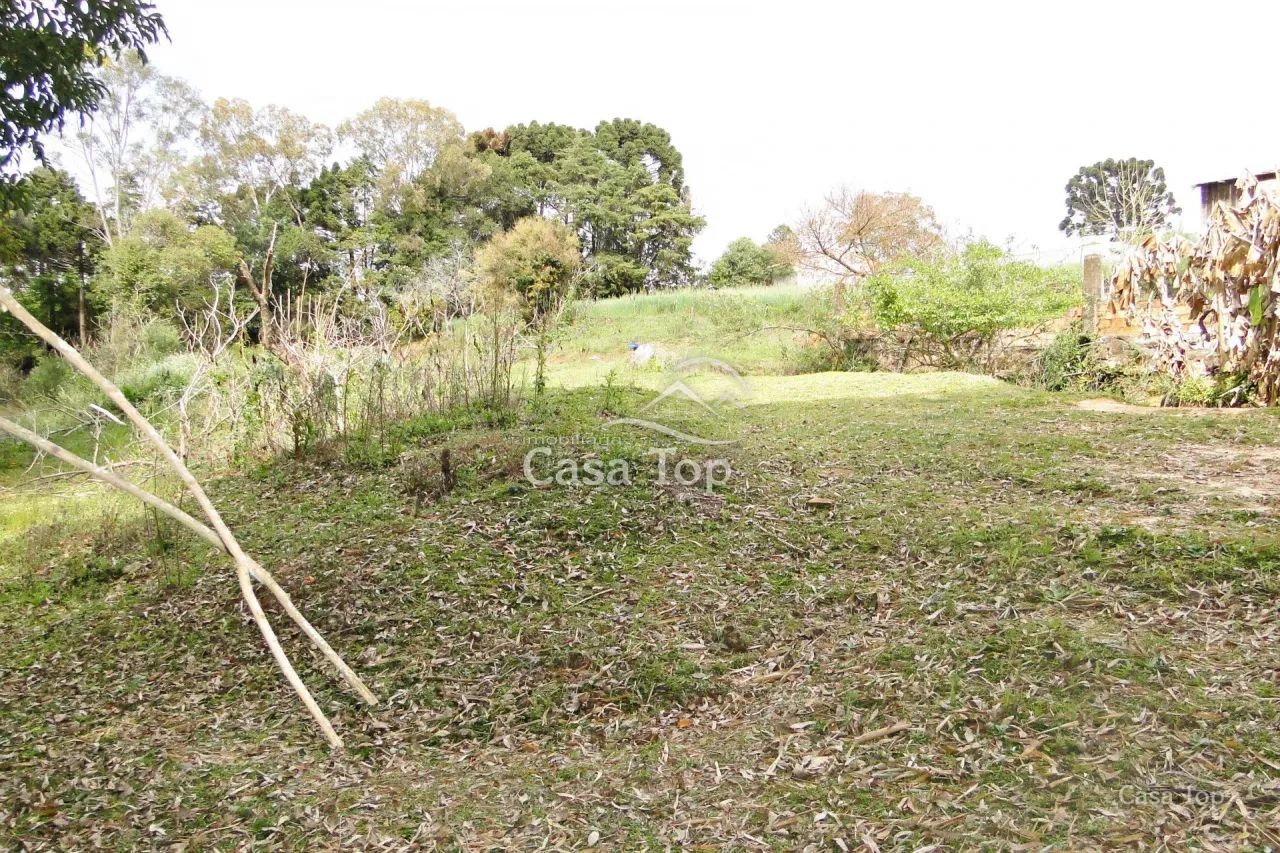 Terreno à venda Cinto Verde - Uvaranas - Foto 2