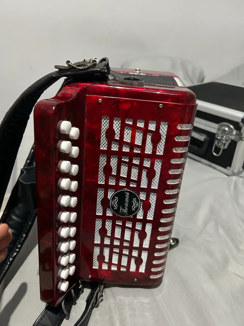 ACORDEON/SANFONA  - Foto 5
