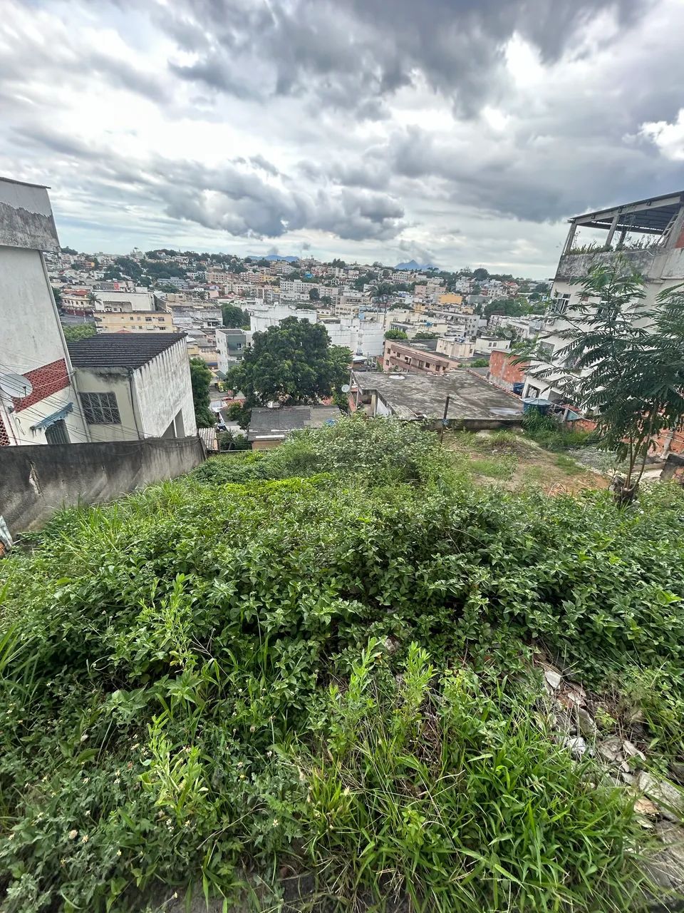 Foto - Rio de Janeiro - Jardim Carioca
