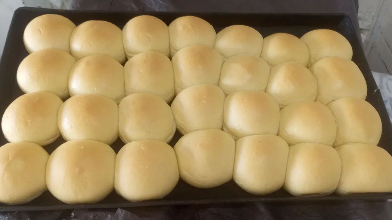 Pão de todos os tipos 