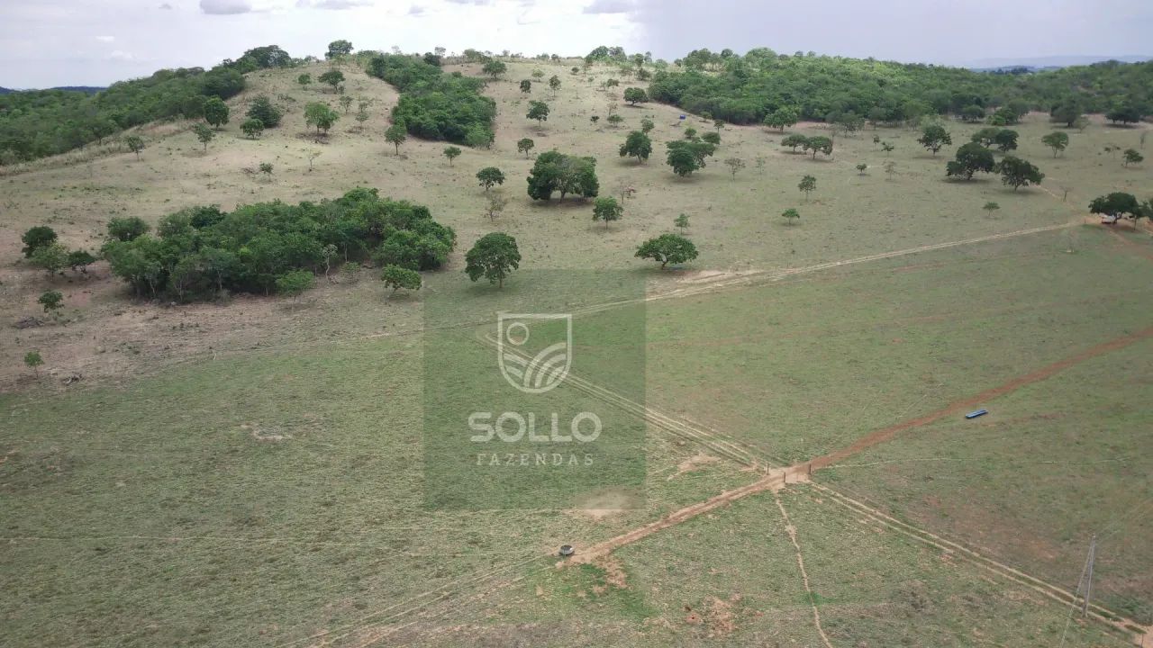 Fazenda formada 25 alqueires no Varjão