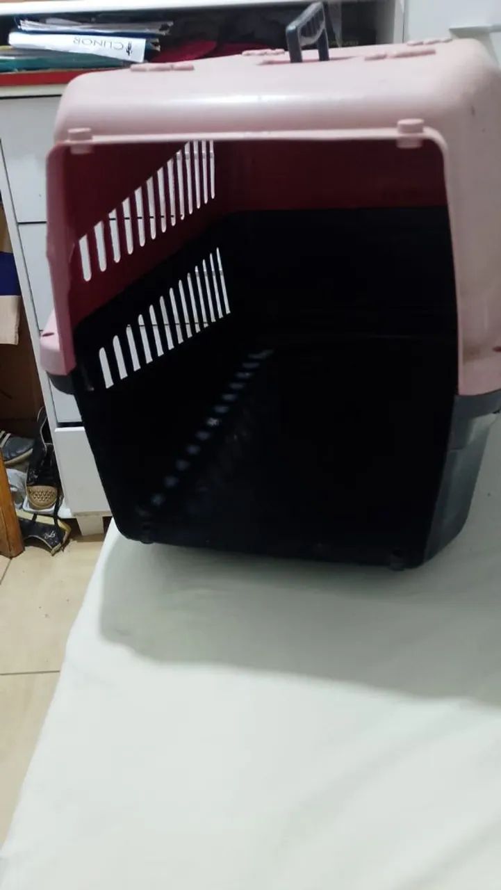 Caixa de transporte para pets sem grade - Foto 2