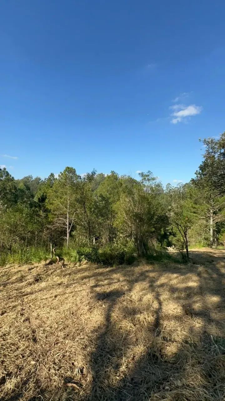 Lotes de 1000m com vista para Natureza, Lazer e Qualidade de Vida - Foto 3