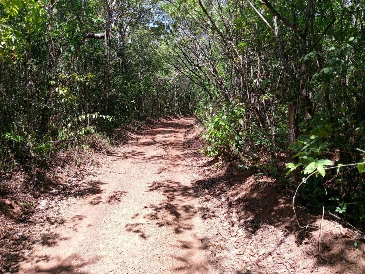 Chacara em Abadiania Documentada R$250000,00 - Foto 3
