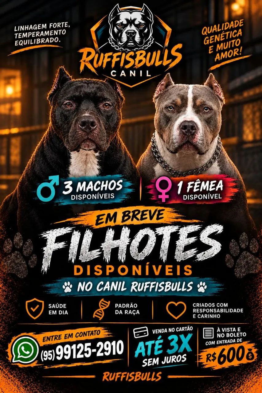 American bully