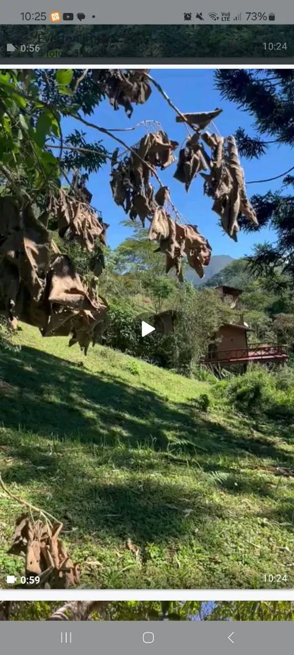 Terreno próximo Visconde de Mauá - Foto 2