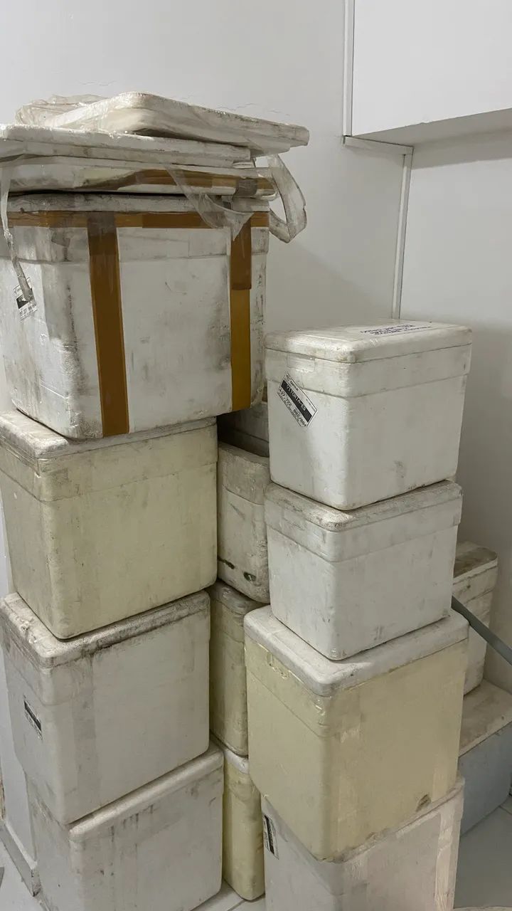 Caixas de isopor 