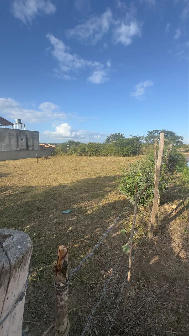 Terreno 15x30 450M2