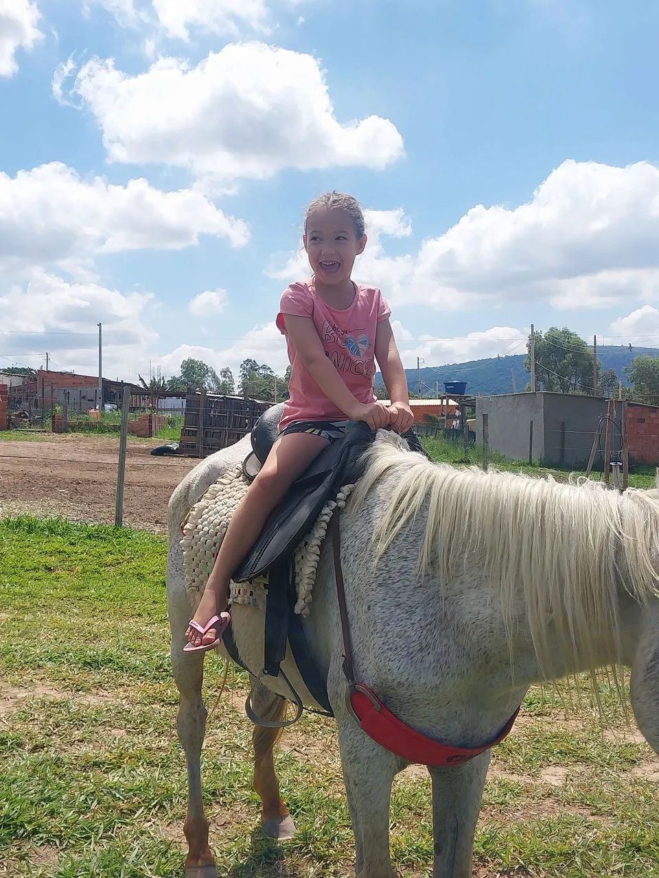 Vendo cavalo manso pra criança faço troca algo que me enteressa ou venda no pix ou dinh ch