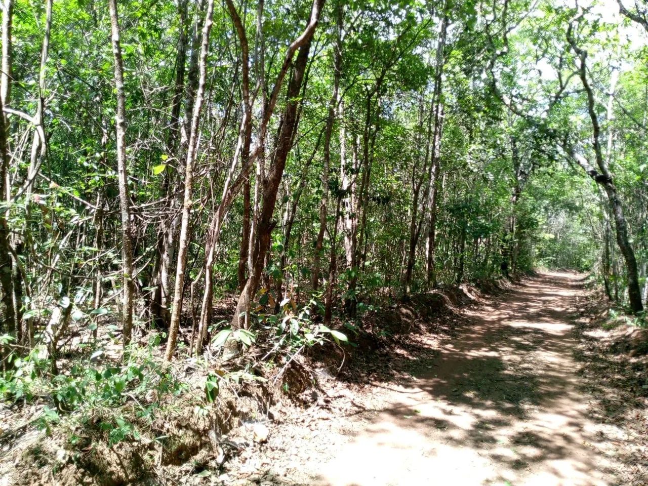 Chacara em Abadiania Documentada R$250000,00