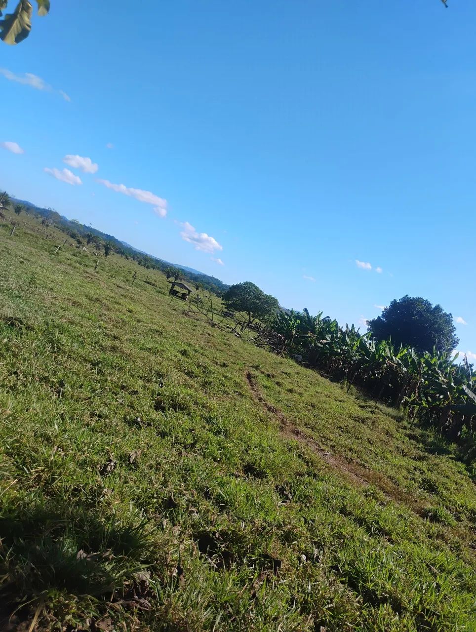 Chácara a venda  - Foto 4