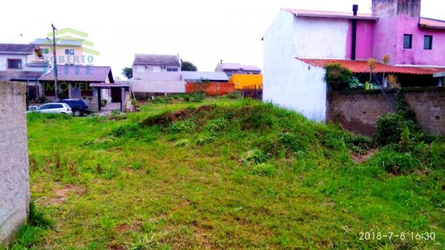 Terreno, Protásio Alves, Porto Alegre-RS - Foto 7