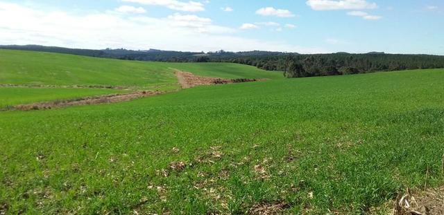 Fazenda Para Plantio de Grãos, Área Mecanizável