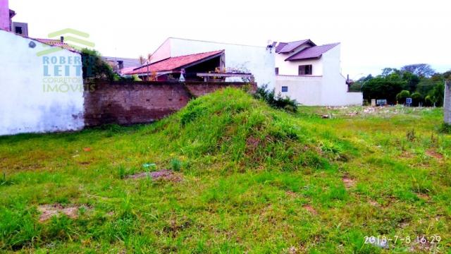 Terreno, Protásio Alves, Porto Alegre-RS - Foto 3