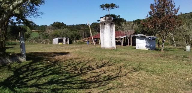 Fazenda Para Plantio de Grãos, Área Mecanizável - Foto 15
