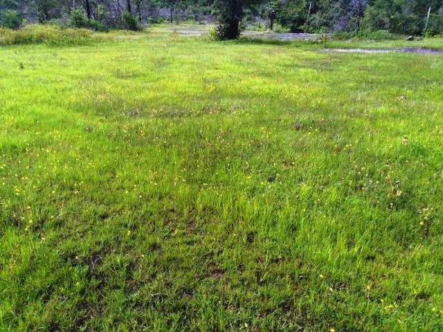 Fazenda com 140 hectares, linda casa, potencial para agropecuária e indústria de britagem - Foto 20