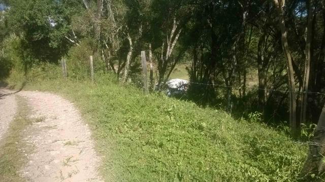 Terreno em Santa Barbara de Ana Reck - Foto 4