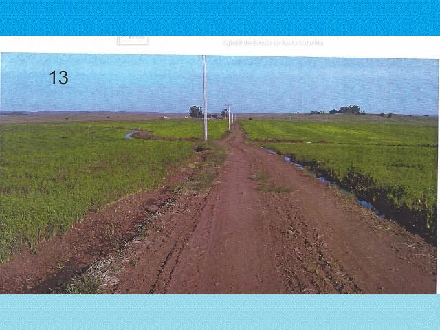 Alegrete (rs): Parte Da Fra?o De Campo; 25ha qwvsf rvjuw - Foto 4