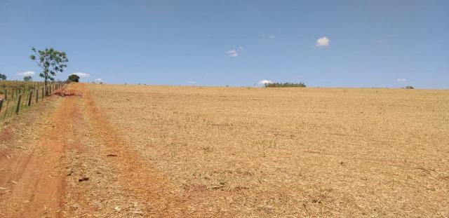 8320 | sítio à venda em nova esperança - Foto 5
