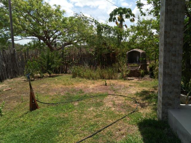 Fazenda com 140 hectares, linda casa, potencial para agropecuária e indústria de britagem - Foto 6