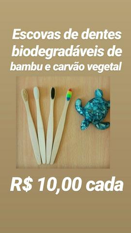 Escovas de dentes ecológicas de bambu