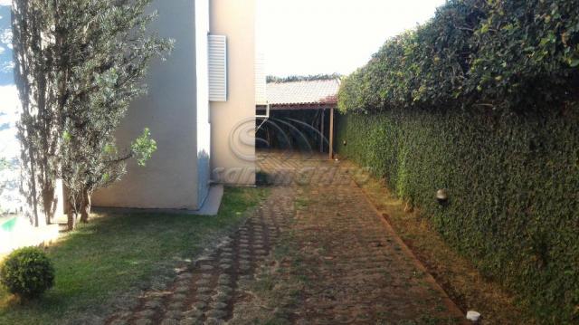Apartamento para alugar com 3 dormitórios em Jardim santa rita, Jaboticabal cod:L4697 - Foto 16