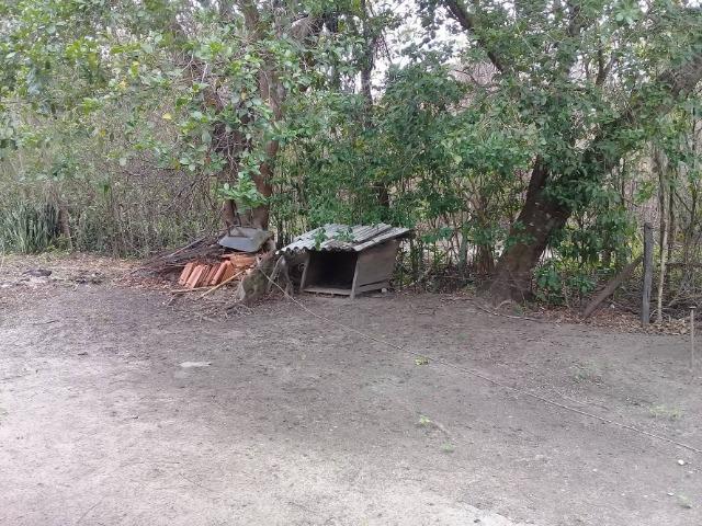 Sítio no bairro Chavão/Santo Antonio, Cabo Frio-RJ. 6.000m² - Foto 17