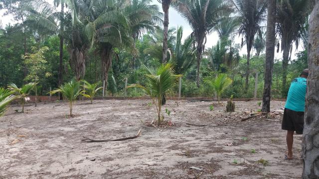 Terreno excelente - Foto 6