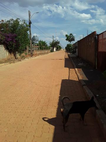 Lote