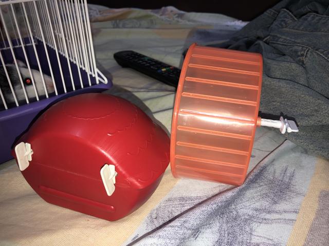 Brinquedo para hamster - Foto 2