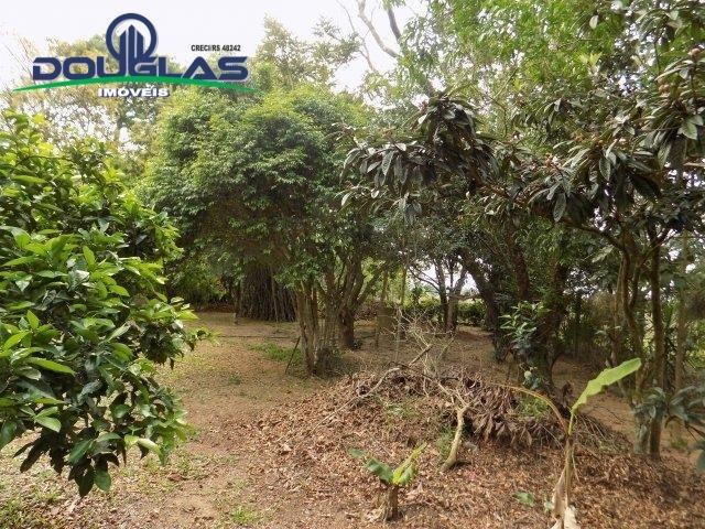 Douglas Imóveis- Tem Sítio 2500m², à Venda, Águas Claras - Foto 5