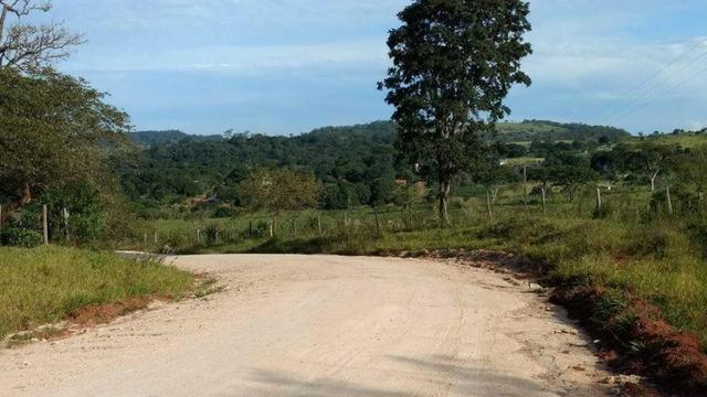 Fazenda e Cotas para Reposição Florestal