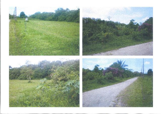 2 Lotes de 600 m² cada -Golf Club - Praia de Pernambuco - Guarujá - SP - Foto 2