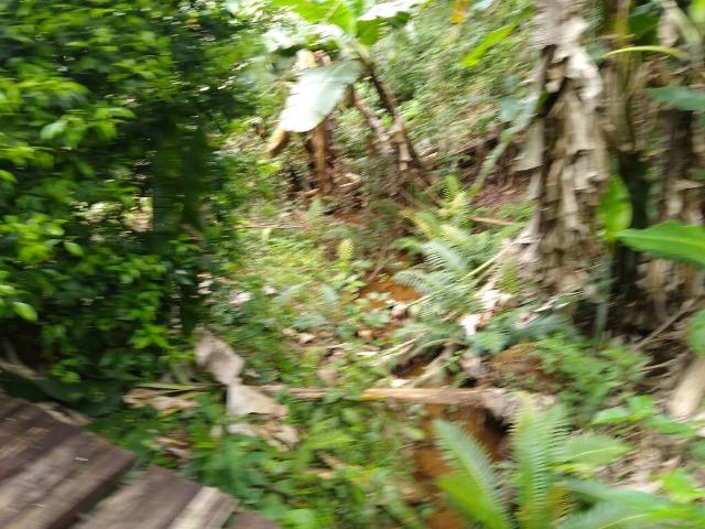 Sítio Viana 3 herquitares - Foto 3