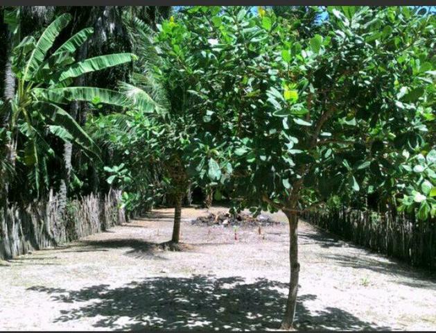 Vendo uma casa em barreirinhas! - Foto 10